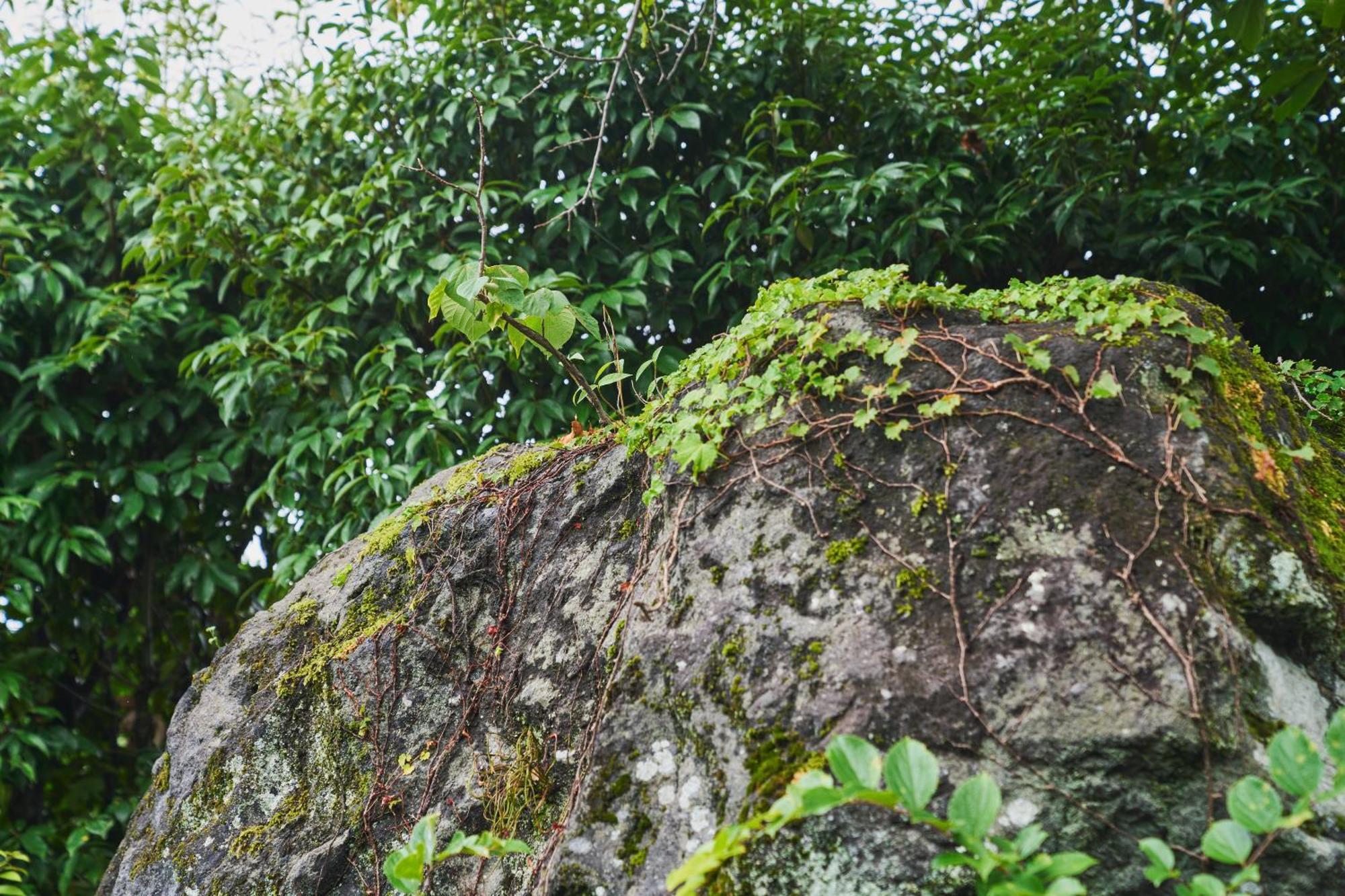 温泉付きの一軒家を借りよう Villa Beppu Bagian luar foto